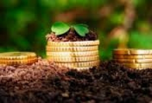 Чадыр-Лунгу посетит руководитель Агентства госрезервов