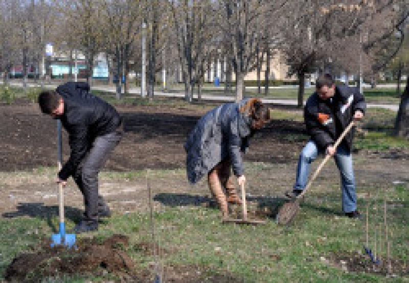 Нарушители Правил благоустройства и санитарного содержания территории города Чадыр &ndash; Лунга будут привлечены к ответственнности