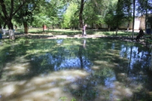 Власти Гагаузии обратятся к внешним партнерам за помощью для пострадавших жителей Чадыр-Лунги