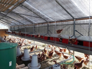 Чадыр-Лунгская примэрия готова к содействию вновь создаваемому предпринимательству