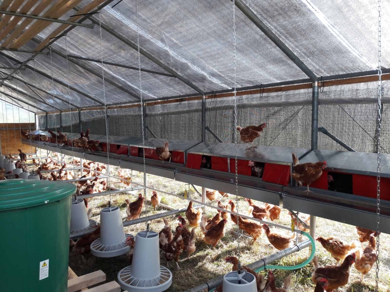 Чадыр-Лунгская примэрия готова к содействию вновь создаваемому предпринимательству