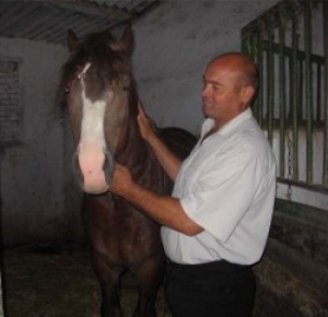 Депутатский корпус НСГ проголосовал "за" передачу конефермы "AT-Prolin" в собственность Автономии