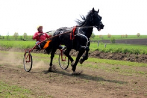 Программа празднования Хедерлеза