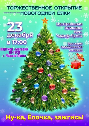 Приглашаем жителей и гостей Чадыр-Лунги на открытие ёлки!
