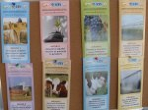 Семинар на тему: &laquo;Состояние многолетних насаждений и особенности обрезки виноградников и садов в условиях 2012 года&raquo;.