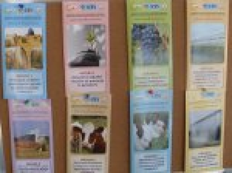 Семинар на тему: &laquo;Состояние многолетних насаждений и особенности обрезки виноградников и садов в условиях 2012 года&raquo;.