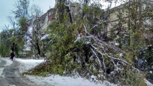 В ликвидации последствий стихии задействованы все службы