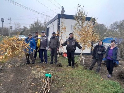 Питомник растений Чадыр-Лунги в процессе создания