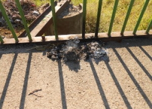 В парке неизвестные сжигают бытовой мусор