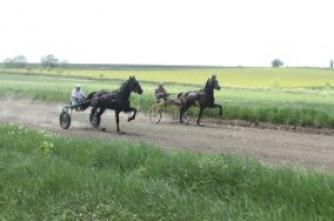 В Чадыр-Лунге отметили праздник ХЕДЕРЛЕЗ!