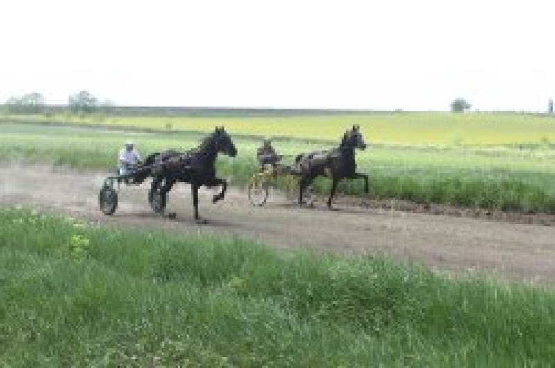 В Чадыр-Лунге отметили праздник ХЕДЕРЛЕЗ!