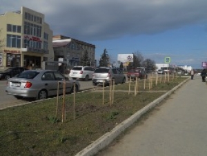 Благоустраиваются городские клумбы