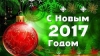 С Новым годом, Чадыр-Лунга!