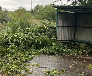 Поваленные деревья, смытые дороги, сорванные провода &ndash; последствия непогоды в Чадыр-Лунге