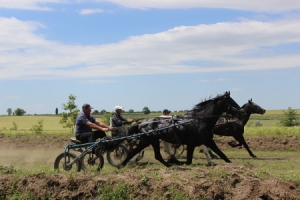 5 мая на конеферму будет организован дополнительный маршрут