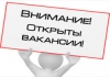 Вакансии в примарии