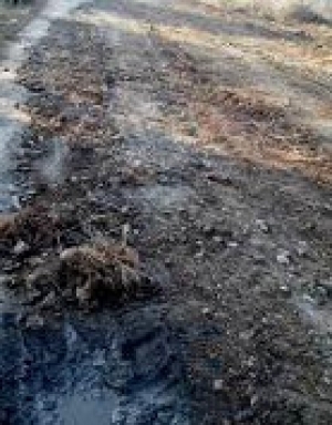 Участок дороги вдоль реки Стратан отремонтируют