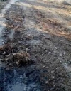 Участок дороги вдоль реки Стратан отремонтируют