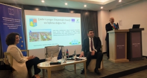 Муниципий Чадыр-Лунга делится опытом в области климата и энергетики на форуме в Баку