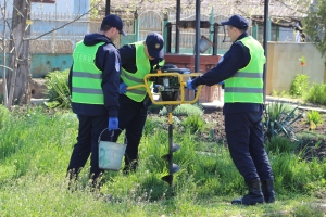 Масштабная экологическая акция в Чадыр-Лунге: высажено 650 молодых деревьев