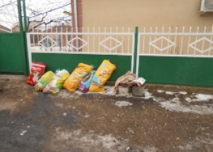 Комиссия констатировала факт невывоза мусора с городских улиц