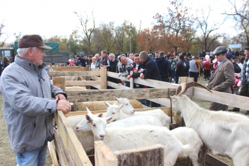 Приглашаем на Касым!