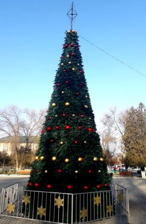 В Чадыр-Лунге состоится открытие Новогодней ели