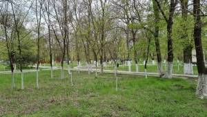 В Чадыр-Лунге нашли хулиганов по записям видеокамер