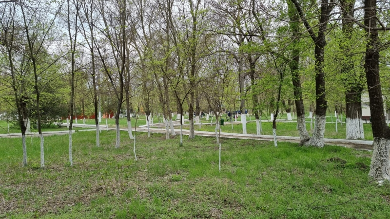 В Чадыр-Лунге нашли хулиганов по записям видеокамер