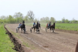 В Чадыр-Лунге Хедерлез отпраздновали традиционными скачками