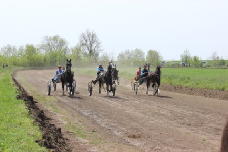 В Чадыр-Лунге Хедерлез отпраздновали традиционными скачками