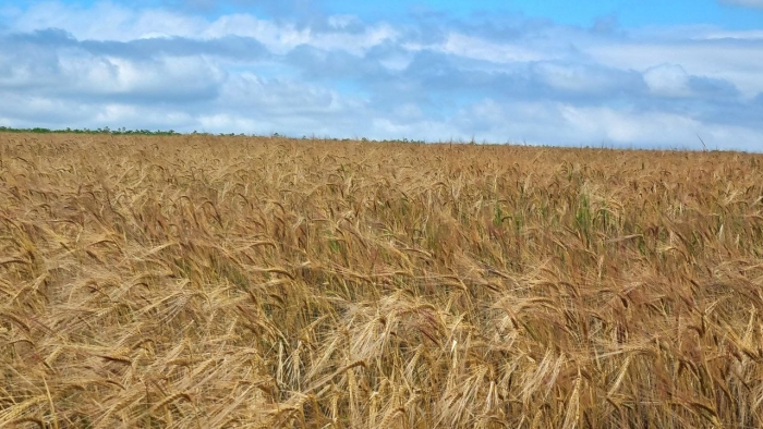 Вниманию обладателей земель сельскохозяйственного назначения