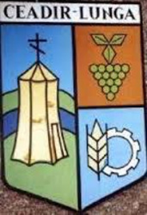 О присвоении званий "Почетный гражданин города"