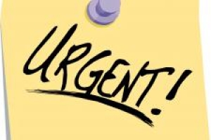 Служба занятости Чадыр-Лунги объявляет  о срочном наборе групп для обучения