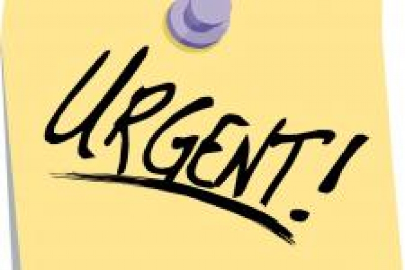 Служба занятости Чадыр-Лунги объявляет  о срочном наборе групп для обучения