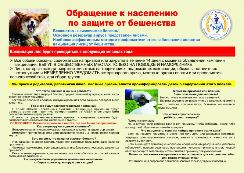 Обращение к населению. Впервые вакцину для лис против бешенства будут сбрасывать с самолетов