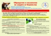 Обращение к населению. Впервые вакцину для лис против бешенства будут сбрасывать с самолетов