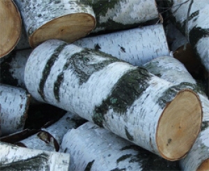 Началась реализация дров