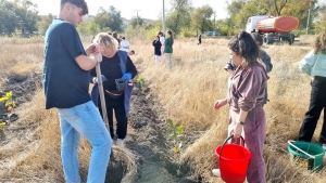 Экологическая акция по посадке деревьев в Чадыр-Лунге собрала более 200 человек