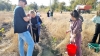 Экологическая акция по посадке деревьев в Чадыр-Лунге собрала более 200 человек