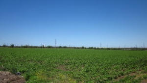 Сельскохозяйственники более пятнадцати лет не платили за пользование землей