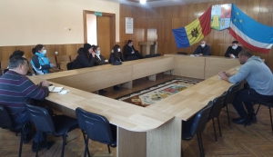 Общественники окажут содействие властям в отлове бродячих собак