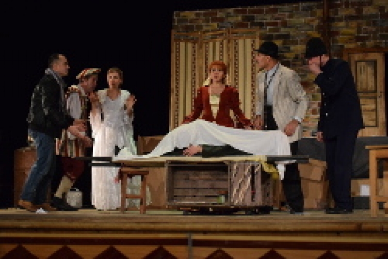 Гагаузский театр приглашает на спектакль "Дорогая Памела"