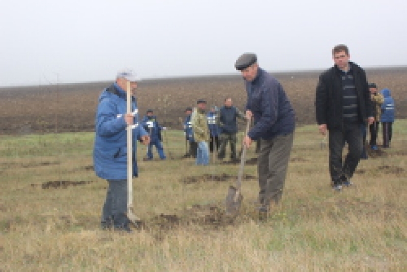 В Дне санитарной очистки и озеленения города активное участие приняли государственные учреждения