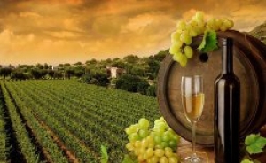 3 ноября в г.Комрат состоится "Фестиваль вина"