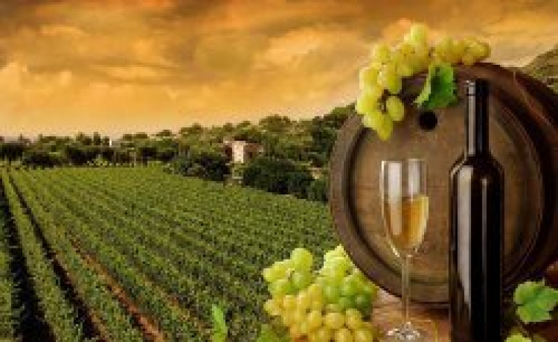 3 ноября в г.Комрат состоится "Фестиваль вина"