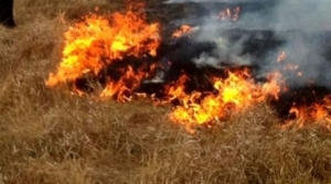 Часто причиной пожаров является человеческий фактор