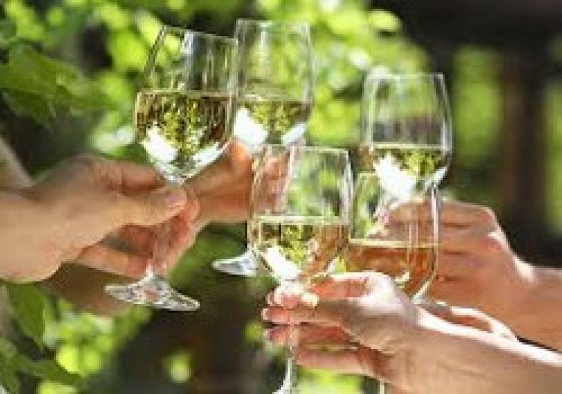 В Гагаузии объявлен конкурс на лучший тост, посвященный празднику &laquo;Gagauz Şarap Yortusu&raquo;