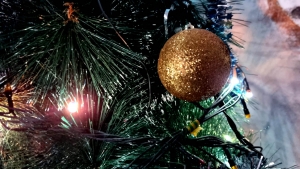 Примэрия и Единый культурный центр Чадыр-Лунги организуют праздничную ёлку для детей с ограниченными возможностями