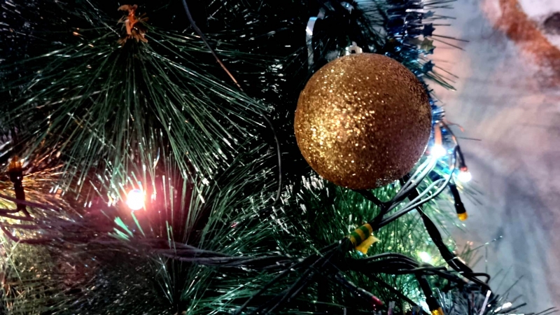 Примэрия и Единый культурный центр Чадыр-Лунги организуют праздничную ёлку для детей с ограниченными возможностями